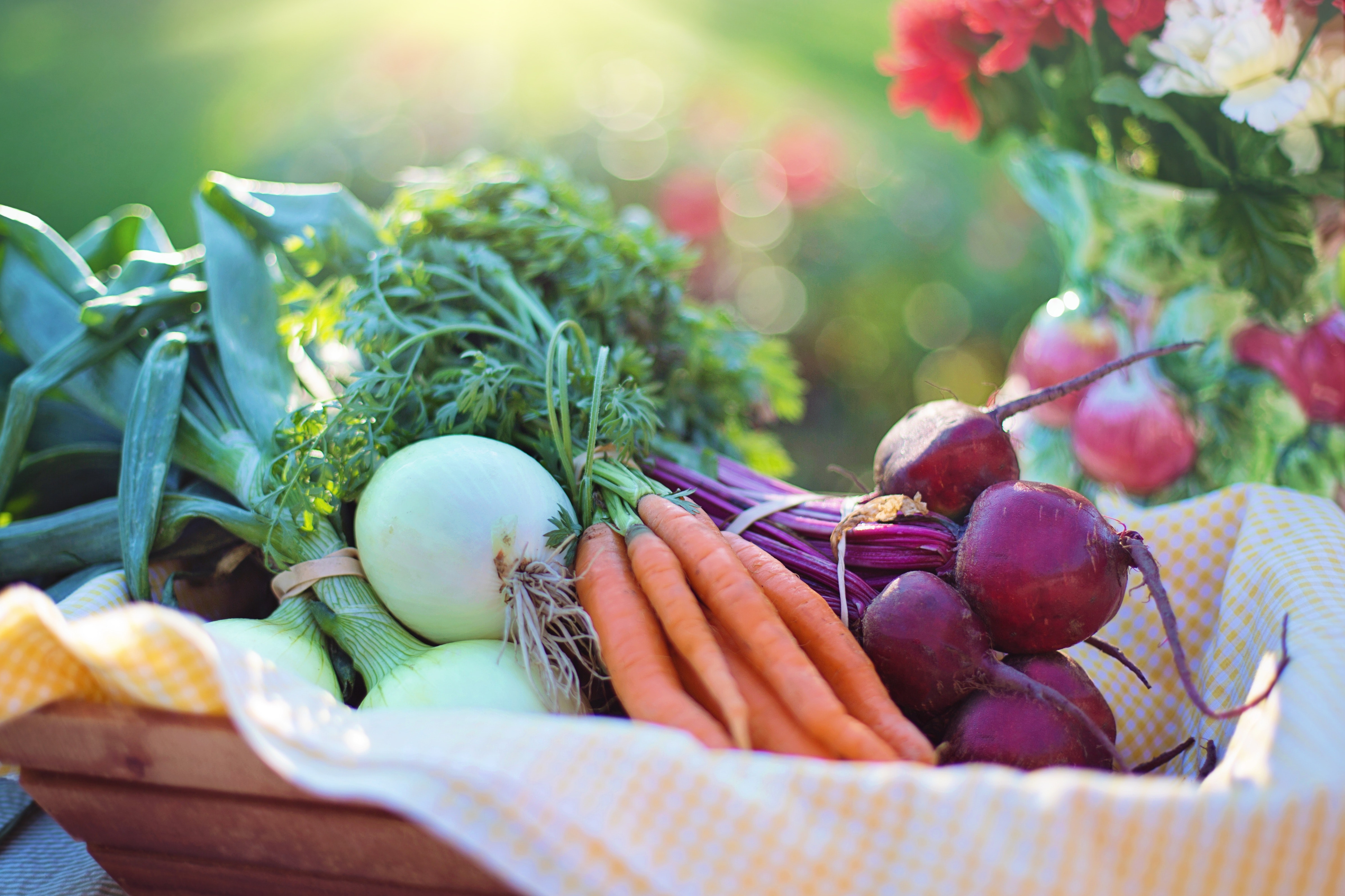 Benefits of Organic Food