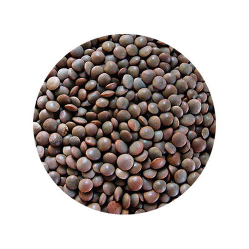 RAMD Special Masoor Sabut 1kg