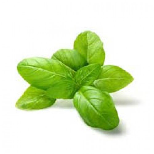 Basil 250gm