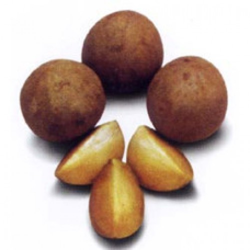 Cheeku ( 500)gm