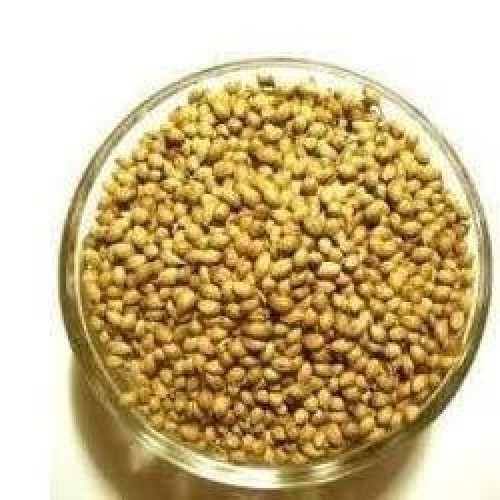 Sabut Dhania 100gm
