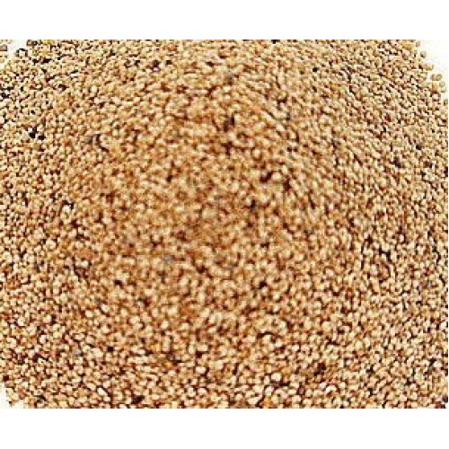 Khus Khus 100gm