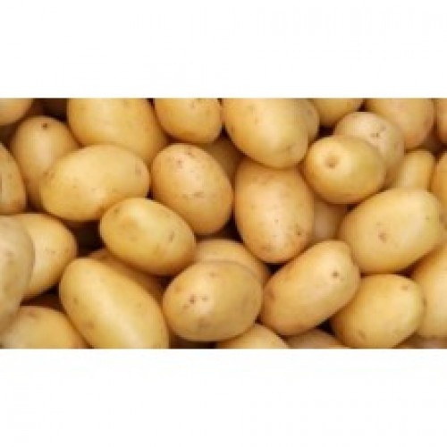 Aaloo / Potato 1kg