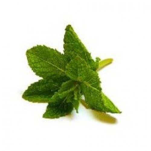 Pudina/ Mint (Bunch)