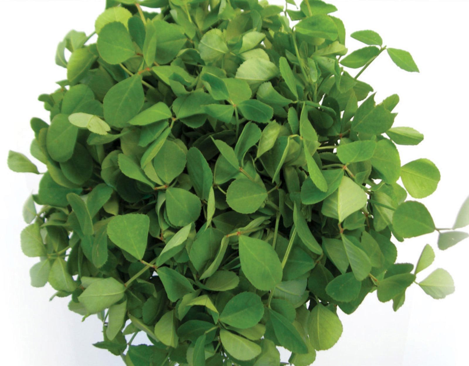 Methi 1kg