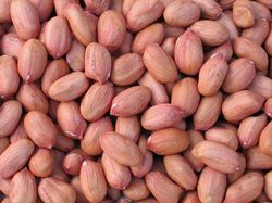 Mungfali / Peanut 500gm